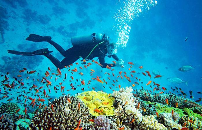 Hotel Dolphin Hikkaduwa Kültér fotó