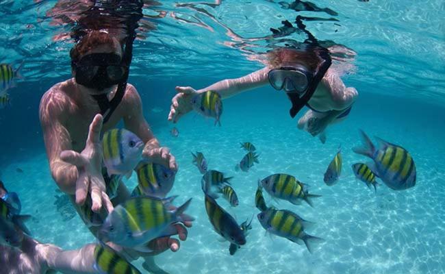 Hotel Dolphin Hikkaduwa Kültér fotó